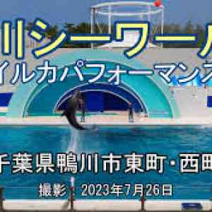 Images 鴨川 シーワールドイルカパフォーマンス 4K Kamogawa Sea WorldDolphin Performance =